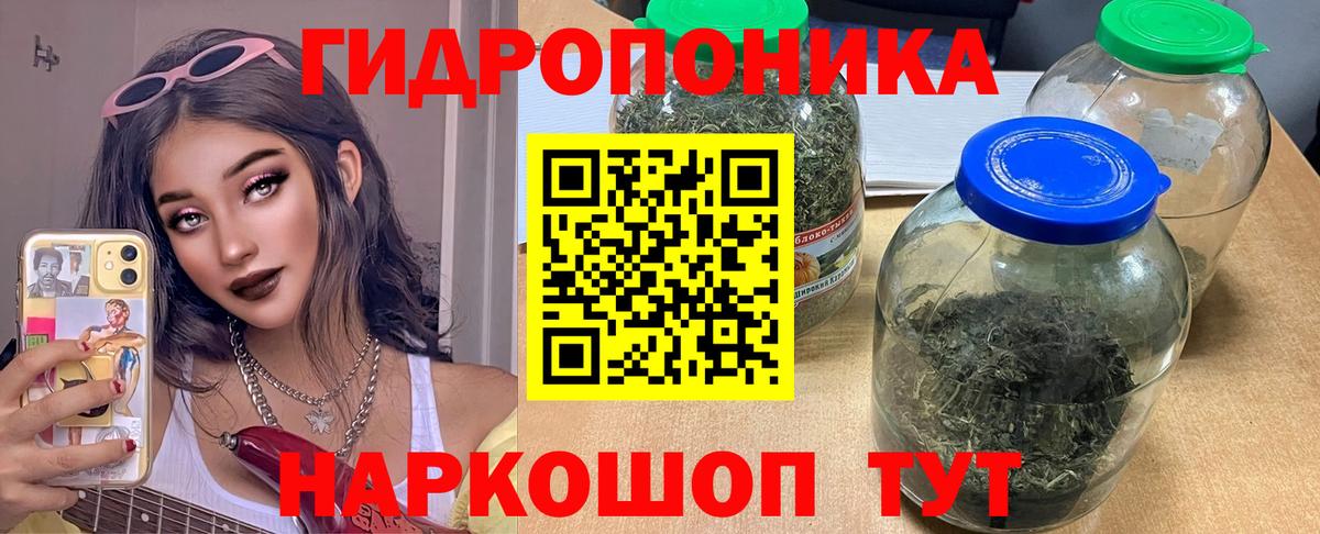 Канабис конопля  Вход с VPN  Марихуана планчик  Воркута 